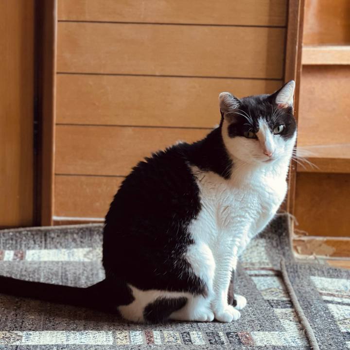 D01d371b a593 486b a3c3 7039192286e1 1655003074080