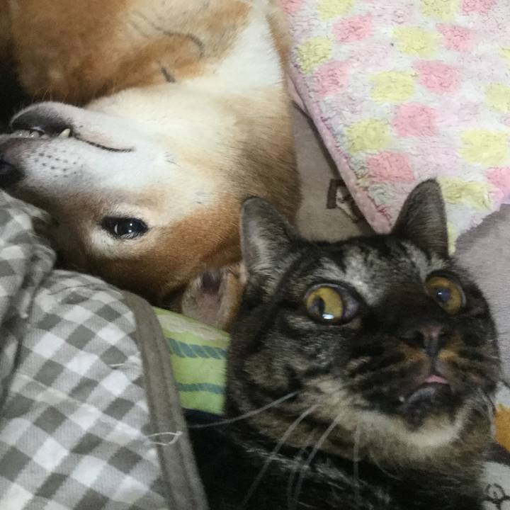 D01d3aef 71b3 4f8c 84ea ebb9e6205cf9 1605527880266