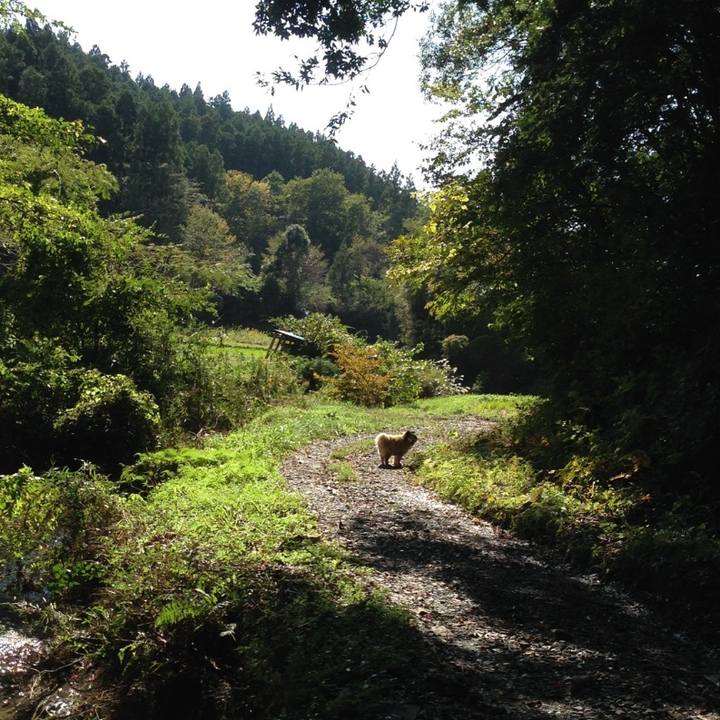 D01d51a5 0274 4095 840d 4c1244dfae9f 1649404664916