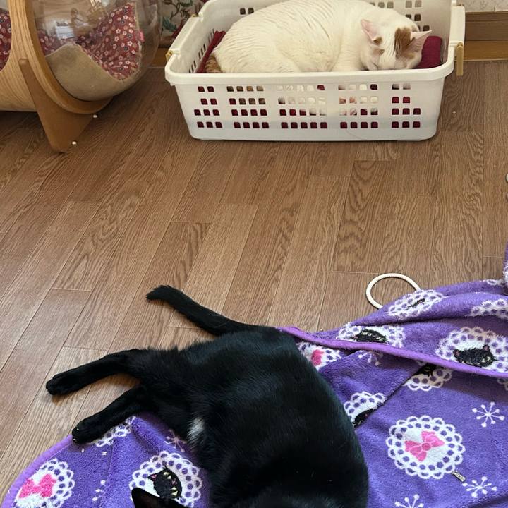 D01d5a73 e1f4 411a a96e 92bcc60595fd 1682199534725