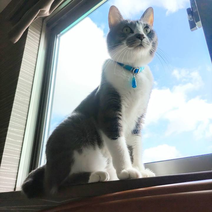 D01d6a35 96bd 4993 835a 76b4bf55238d 1659137618045