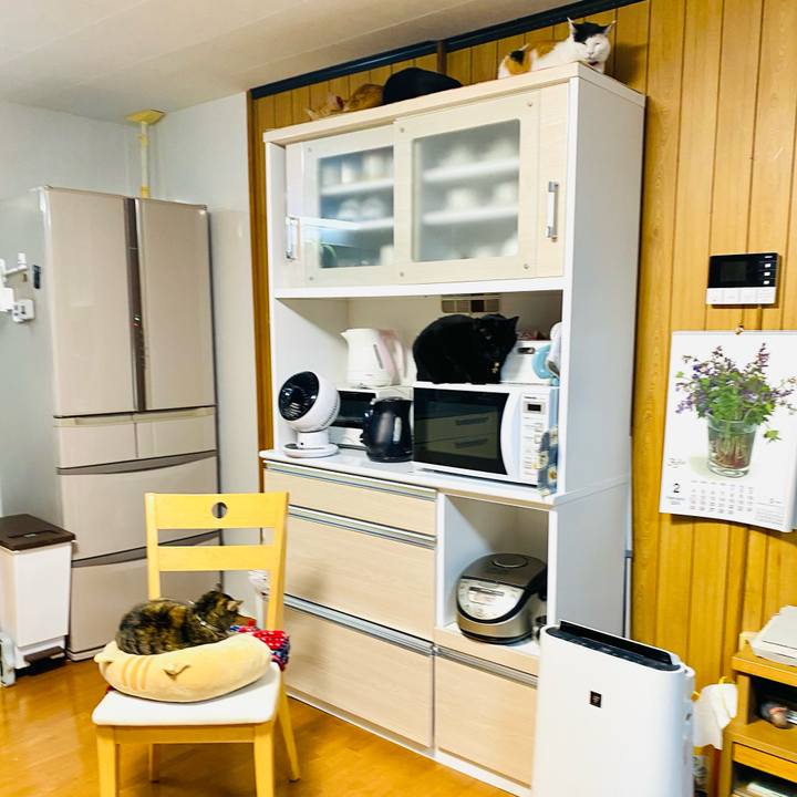 D01d721c ea8d 4052 aa6d d36da2586287 1709246139307