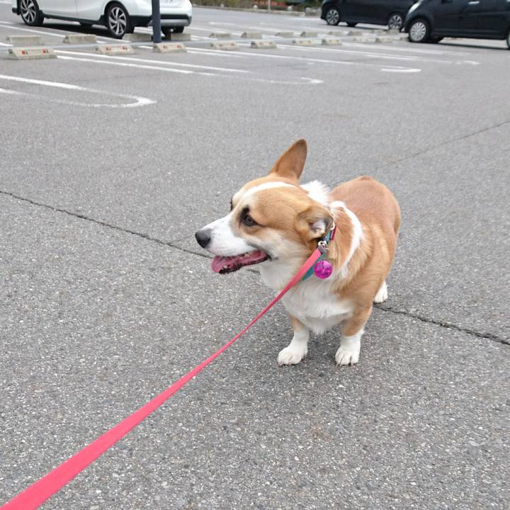 D01d78ca 9049 4105 94a0 53693de8a670 1612235676995