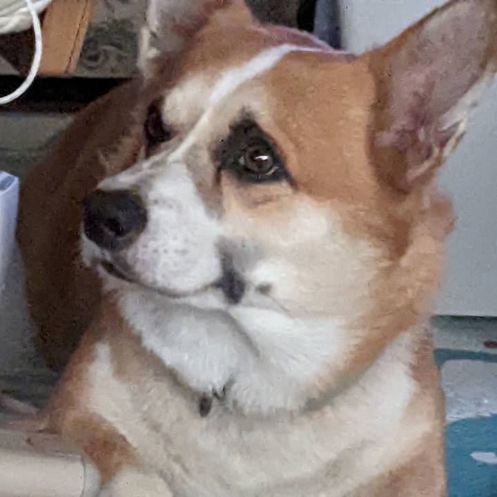 D01d9a06 143d 4b36 9669 5eb5da95f708 1691720133418