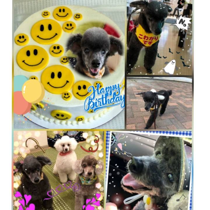 D01da328 c956 47e2 8566 59c6e89b73a2 1546705476131