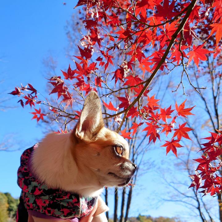 D01dc431 b816 4da7 b9d4 7fa209fe5fe9 1702098257430