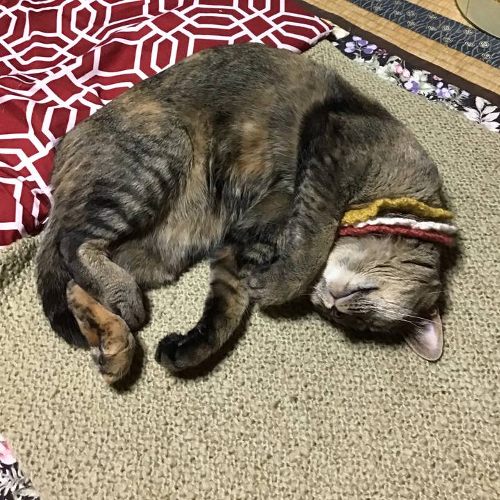 D01dc5b9 2d2e 40a7 83f8 e0a95c758ee6 1623238447446