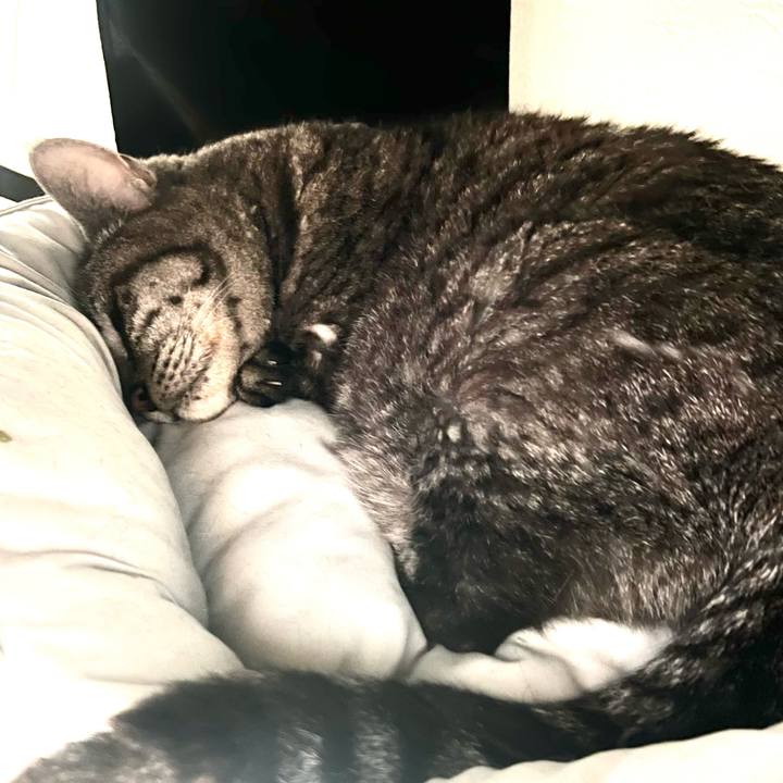 D01e07c6 9997 43a1 ad9d 5f9a1fb89565 1760163058242