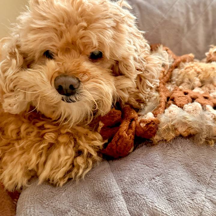 D01e1974 da82 4f76 802d 21321cb464df 1771202396042