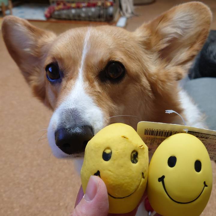 D01e6b58 e27f 4a18 9ed3 645e04dfeef0 1770821889687