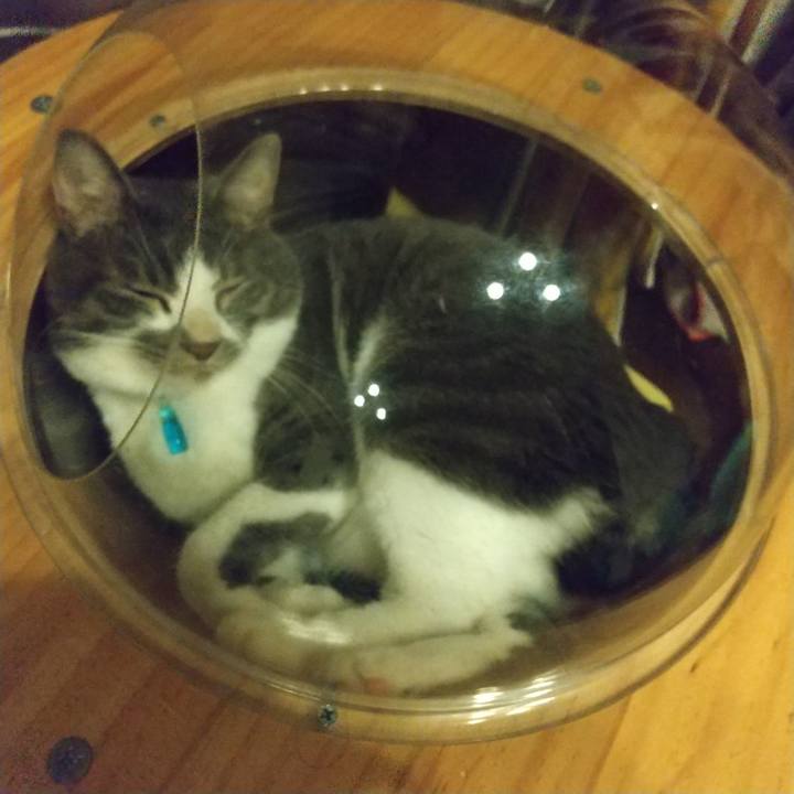 D01e80a1 6b26 4768 8395 121aabba5630 1626793492507