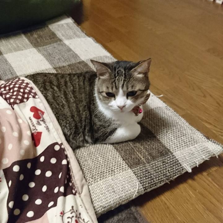 D01ea576 68ae 4aac b418 e8d7539533bf 1540332660927