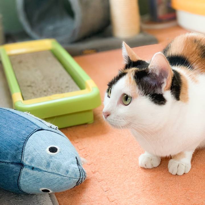 D01eb617 de17 46b9 b1c5 1771d6fb652d 1572400157571