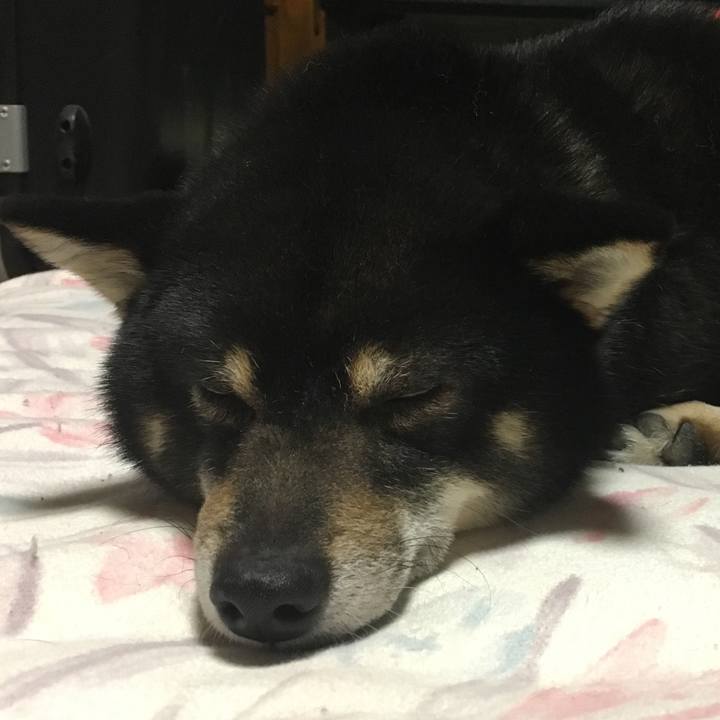 D01edb7f 35ba 4fb0 bb6e 96f7e8ab89cb 1517219329242