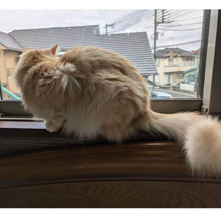 D01eead3 63f2 4ba9 9d79 44972379e280 1729477488333