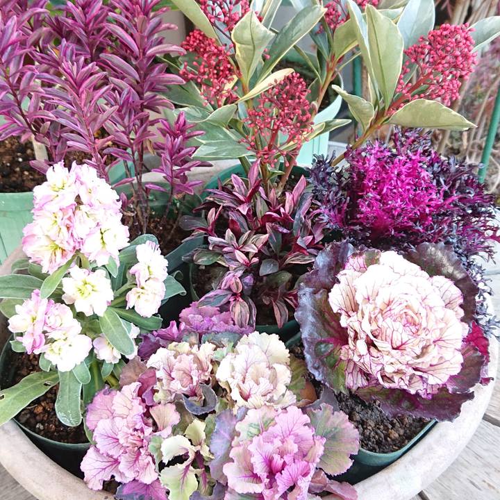 D01f273b 2a35 4df1 9464 23b1158f054a 1641649728759