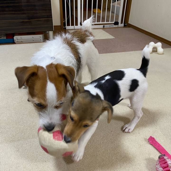 D01f5577 da38 484a ba9a 914bf93d5848 1745065806404