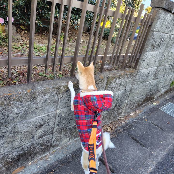 D01f90f4 b689 4e82 959c 1d94b701cf9b 1764746238249