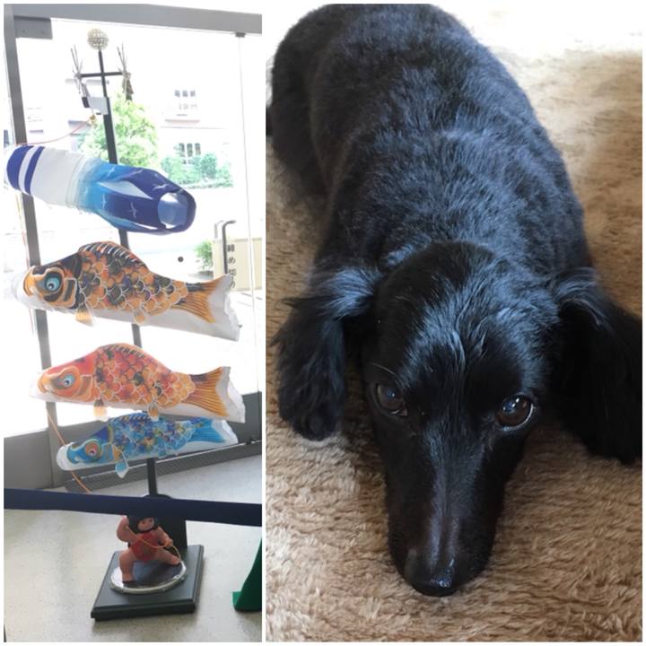 D01fa52e 6ef5 4980 b730 678c6a16ddae 1525468743569