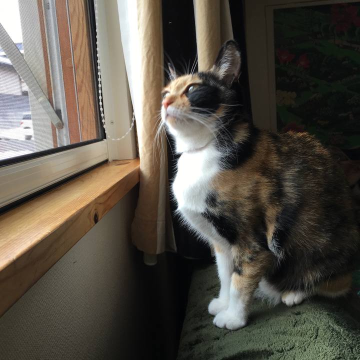 D01fd8c3 c3fb 4595 99a6 4def993a2a2f 1519435633623