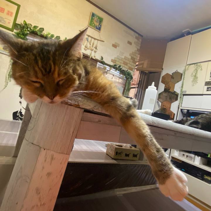 D01ff6e9 3f65 4472 93eb 20b091ce5b57 1629681538739