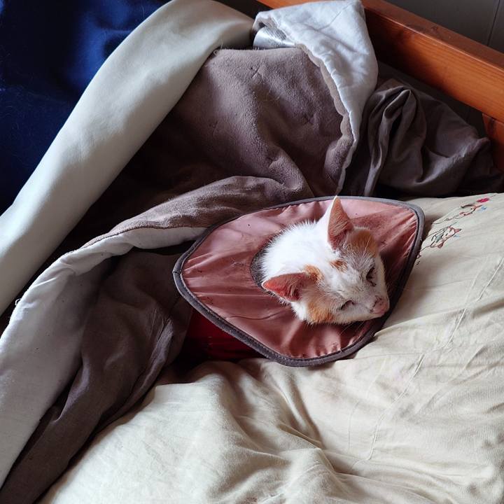 D020117a bdf8 4c9a 93b5 b092aa2b9295 1767597250625