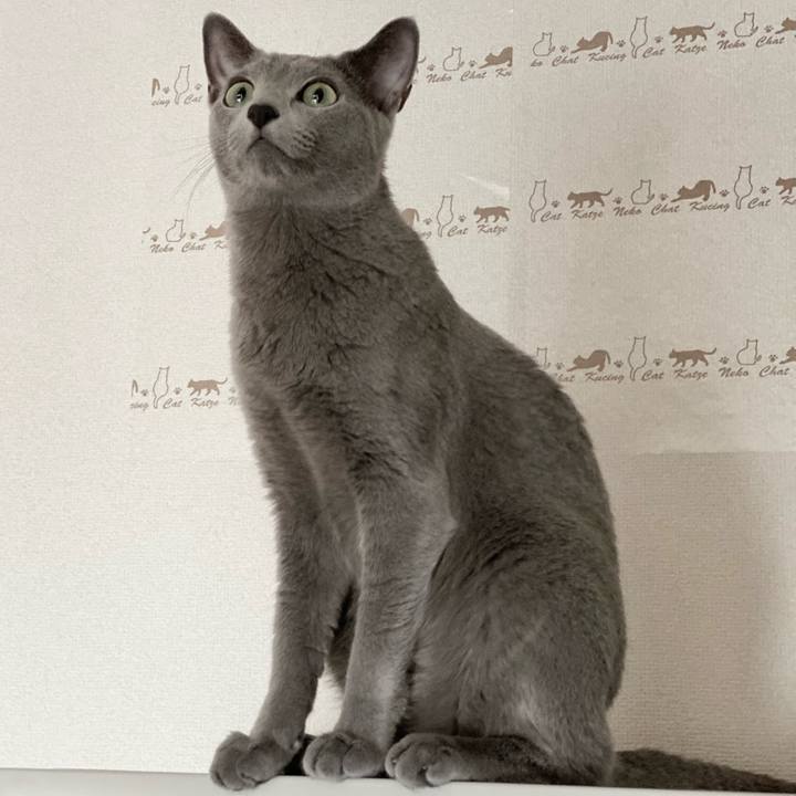 D0204178 414b 4da7 9346 2e1adfc0518b 1632972811150