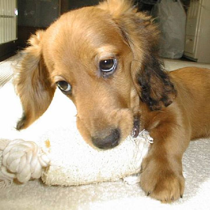 D020476c 59f7 47ef bedf 56365b5e168f 1524139891674