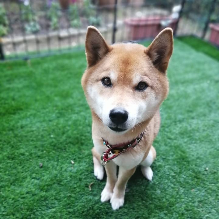 D0207166 219b 4ea6 bdc1 f192fb4c269a 1581495692417