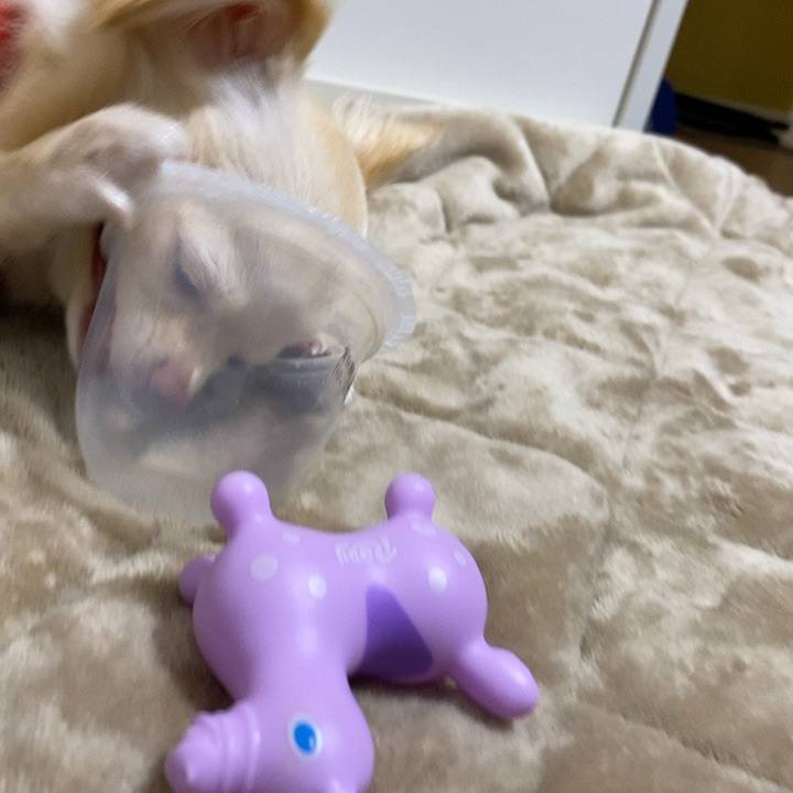 D0207726 587e 4734 ae85 d9d5ae578069 1607774193636