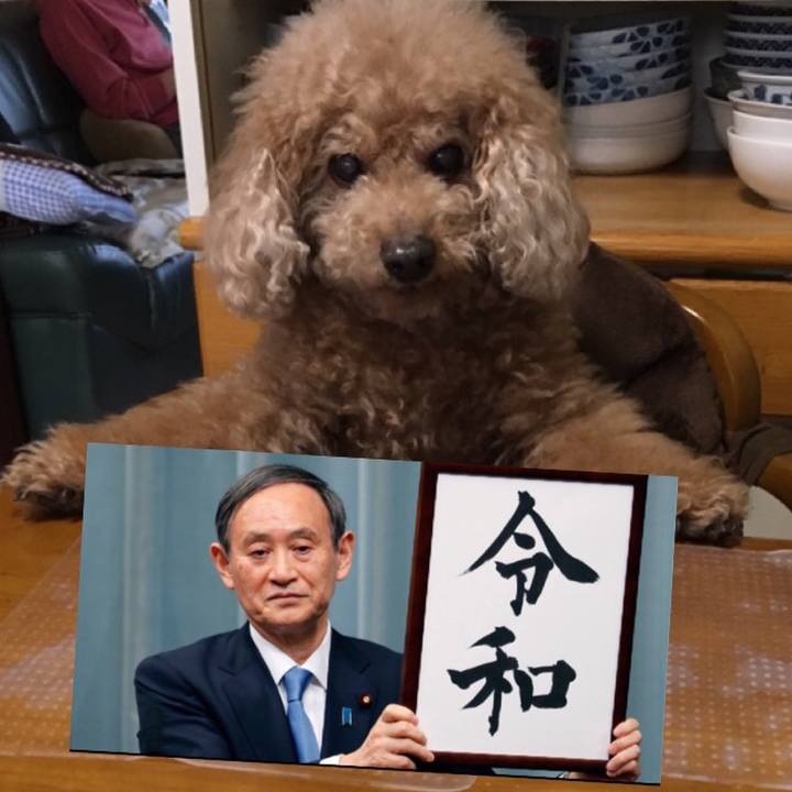 D0208da9 7eb2 41a4 876f 51caeb8ebb78 1556626600036