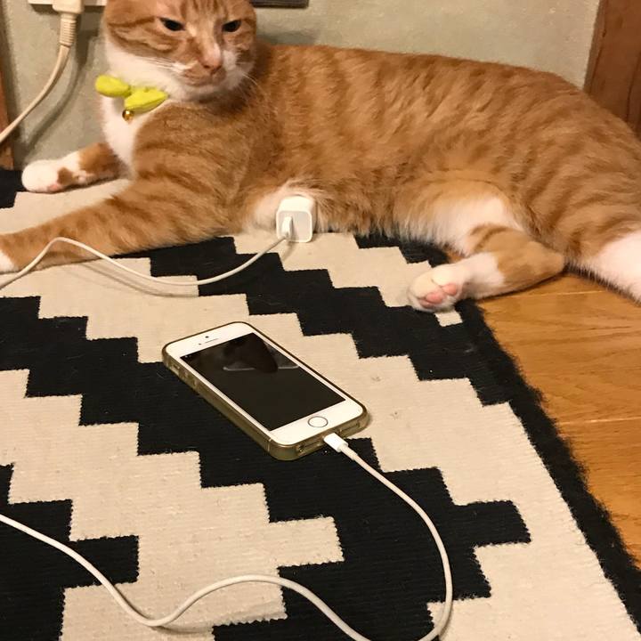 D020b4ed 021b 4f8e 81d1 1901db821e0f 1531577165795