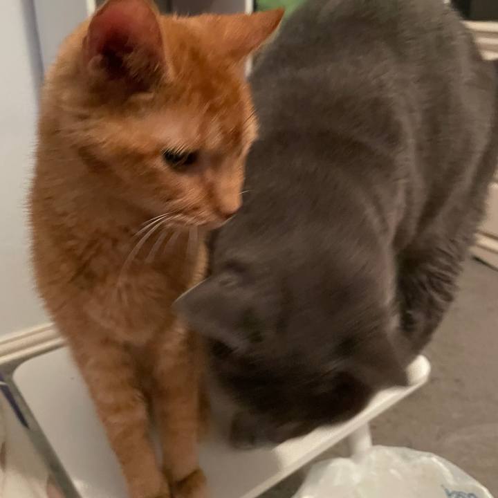 D020cf75 348b 4be9 9bf9 34433a8ebea8 1769479001333