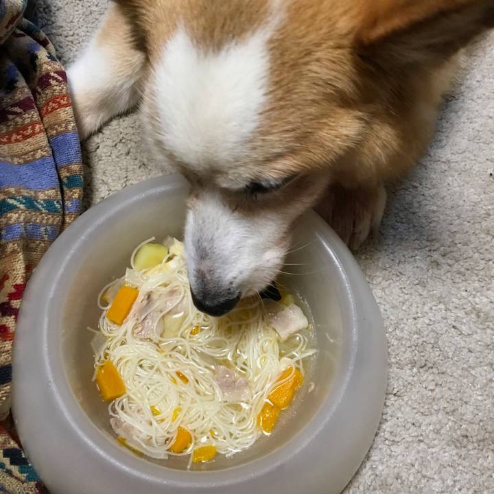 D020e753 6363 4016 bde6 2926a23efb17 1568210210651