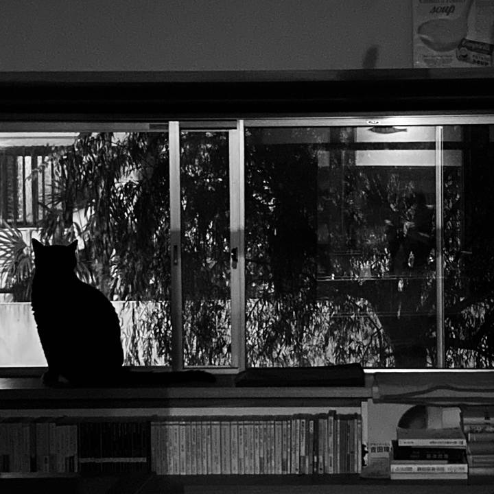 D02120c3 9c4d 4278 84ab cfde32504836 1631020785295