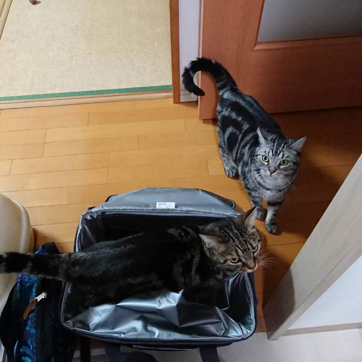 D0214bf2 8a55 4bc8 9a24 8caef20356ea 1564668057942