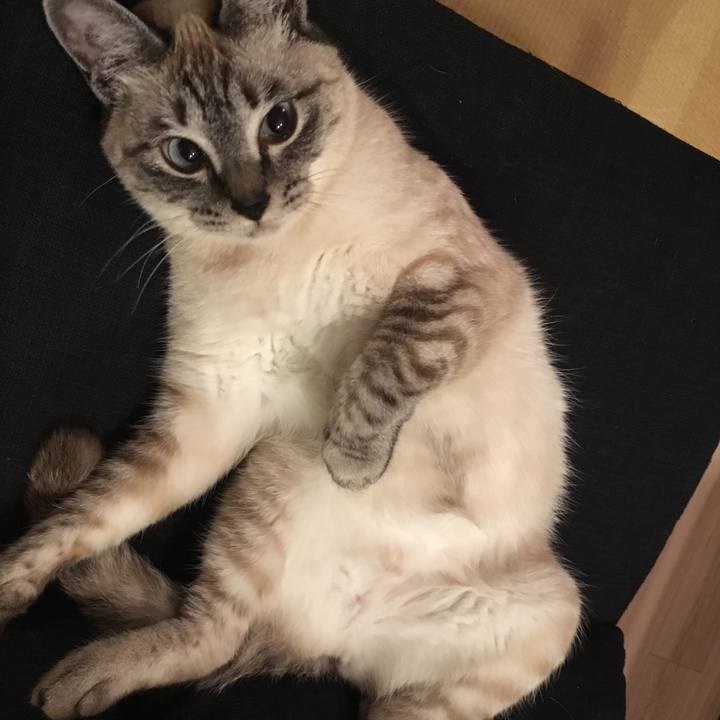 D02156ad d445 406c b8b0 450726b2a3d9 1557745564570