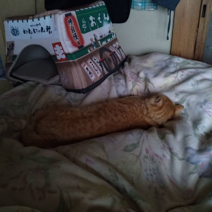 D021987c ff0d 447f bbf4 9fcd263bd4c4 1682029359434