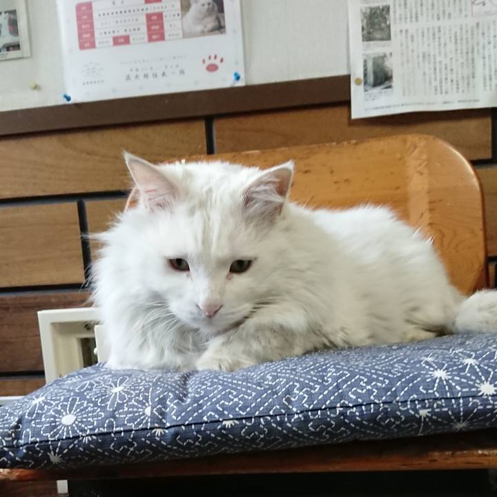 D0219bd8 8550 4922 bbc9 19f3cc01c7e3 1551740549880