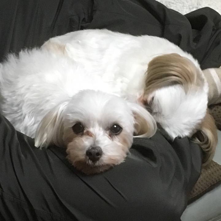 D021deff 9c7d 4e78 8918 c44960708725 1511438238551