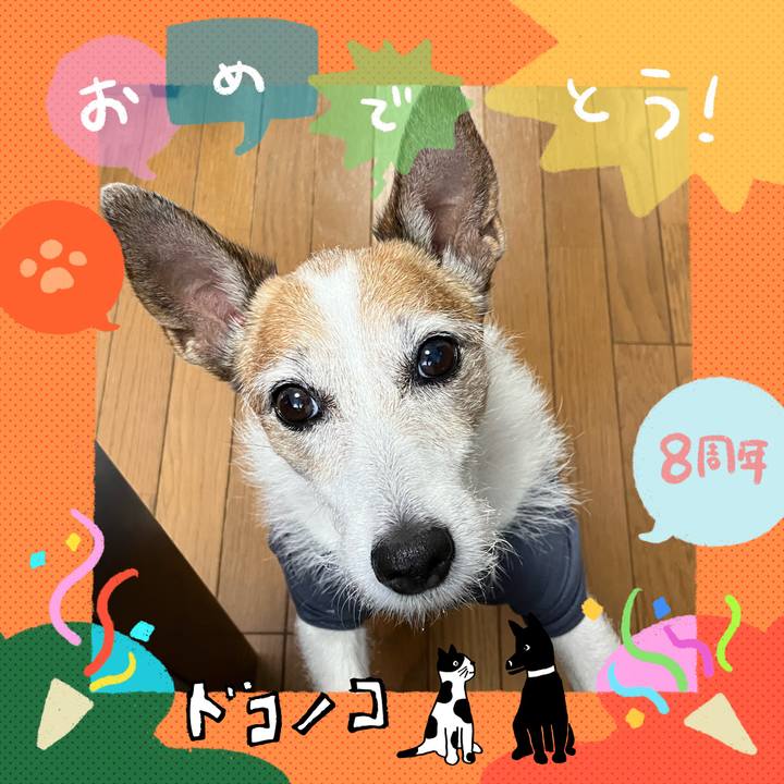 D021f1ae 9c9e 4b50 b527 c3426abd57b5 1717629540887