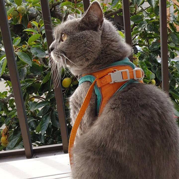 D021ffee 74dc 404f 9208 3020d10fb1e1 1664751434318