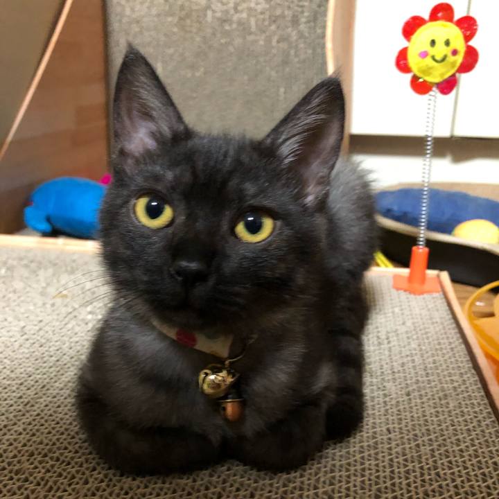 D02248ef c5a7 4d7b b498 1abca56013d6 1608837180602