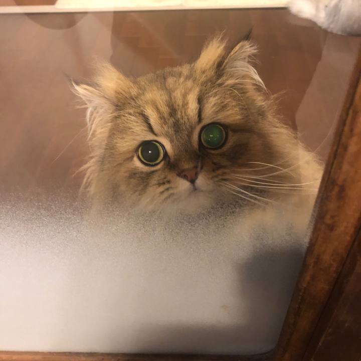 D02254fe d78f 4df9 ba5d c012d534b5c3 1583627062440