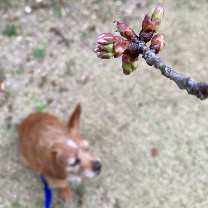 D0225b78 53b5 44aa 96e9 b938cfff831c 1648115329615