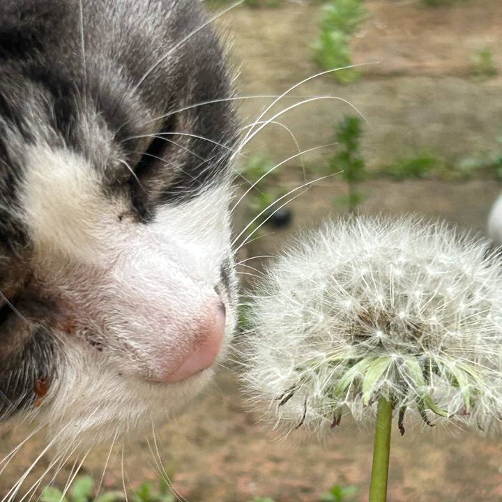 D0225d33 67e3 48cf 8b30 6660220a68d9 1776503954564