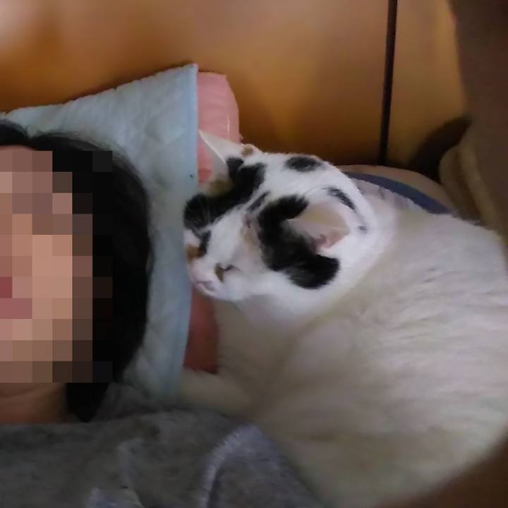 D0226a92 db45 46b2 b314 8ec54f368e82 1568795811825