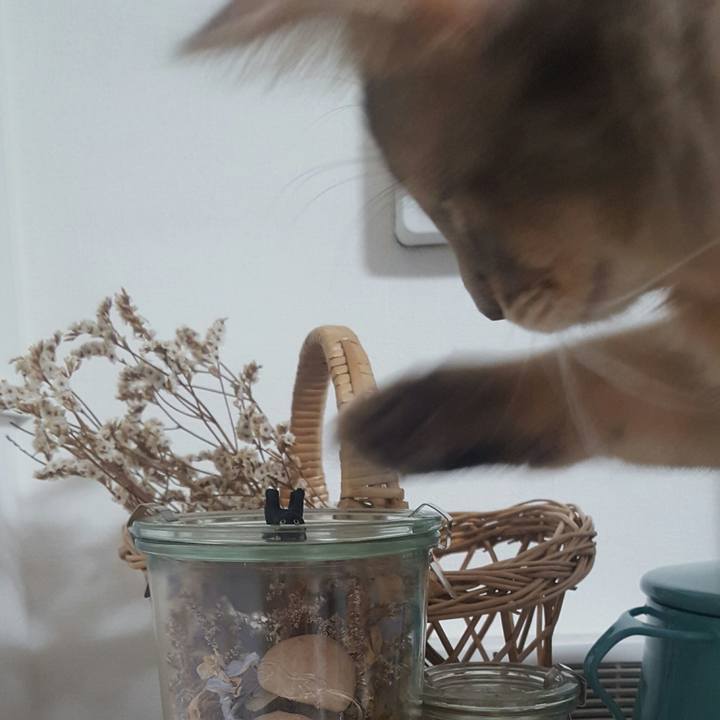 D02275d3 7eeb 4c74 a7ce 786c4fcfef14 1518515593354