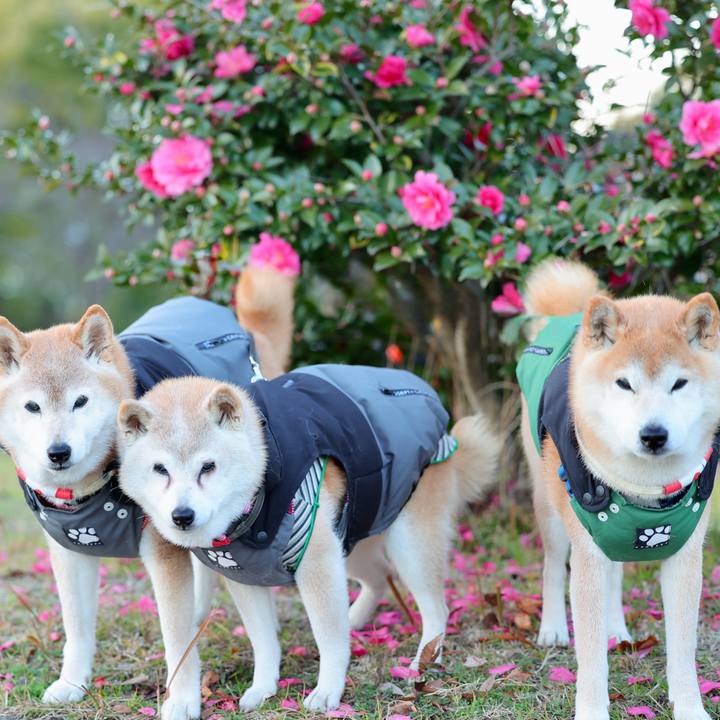 D022d9fa 7ddf 4aa9 936e 912a40c728b9 1767026120164