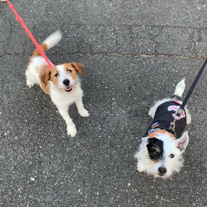 D022f2fe 756e 4815 a0f9 b8b2221a82ff 1737677762311